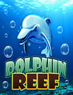 pidgame168 เครดิต ฟรี ที่คุณไม่ควรพลาด